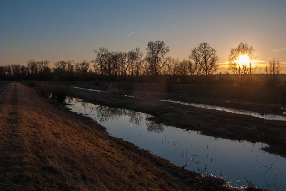 Koprzywianka