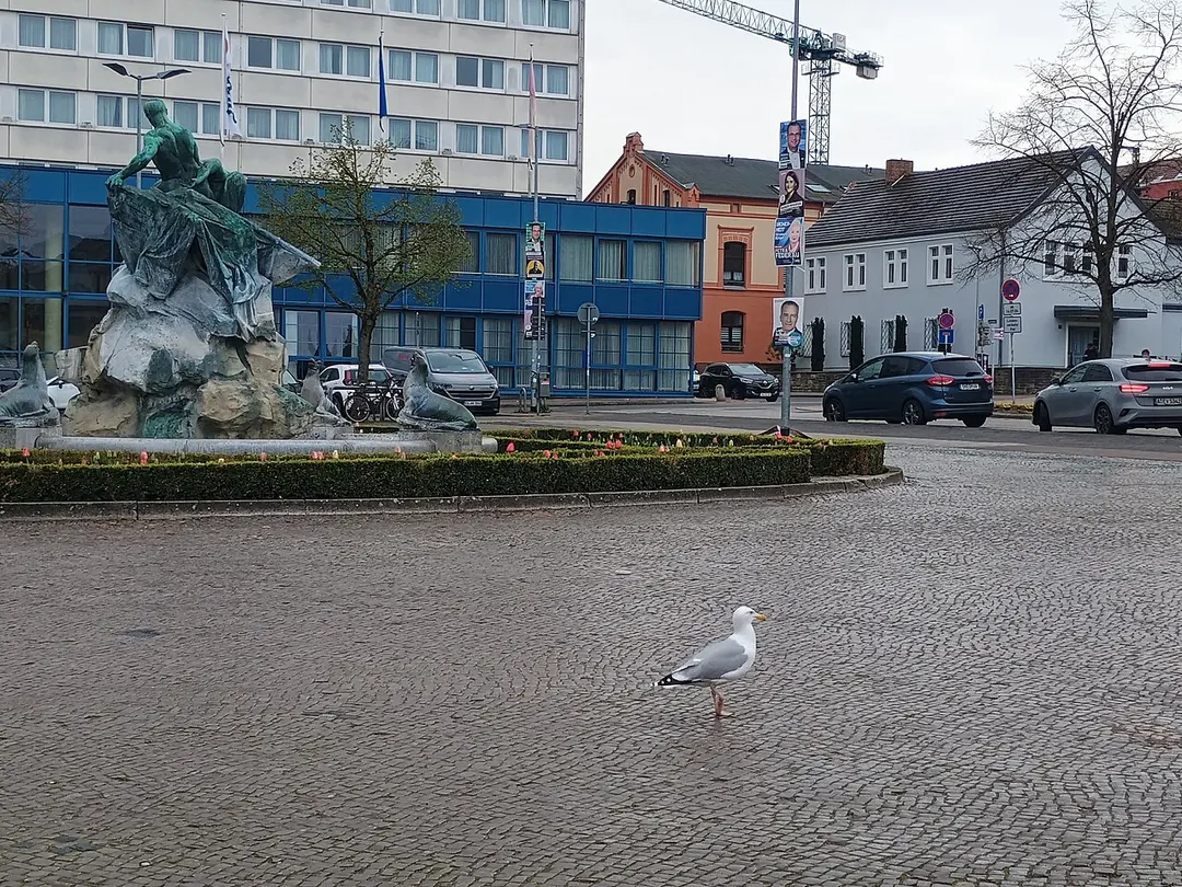 Rettung aus der Seenot