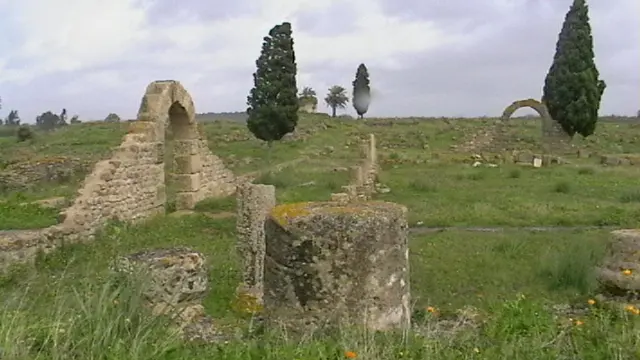 Banasa