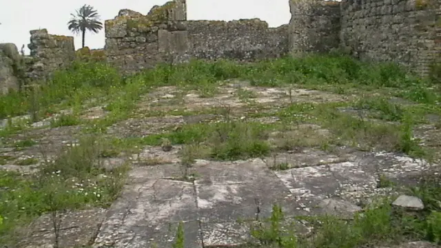 Banasa