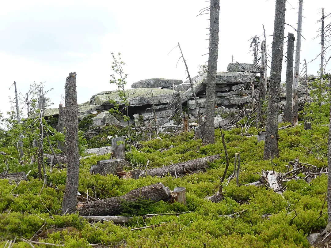 Bayerischer Plöckenstein
