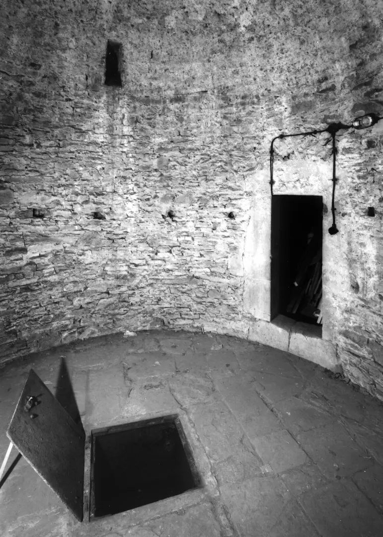 Burg Wildenburg (Eifel)
