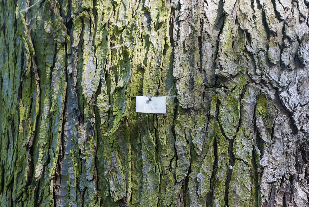 Volkspark Friedrichshain