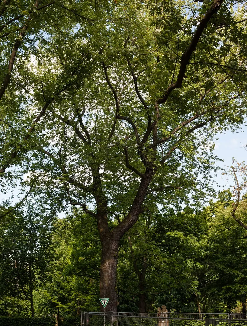 Volkspark Friedrichshain