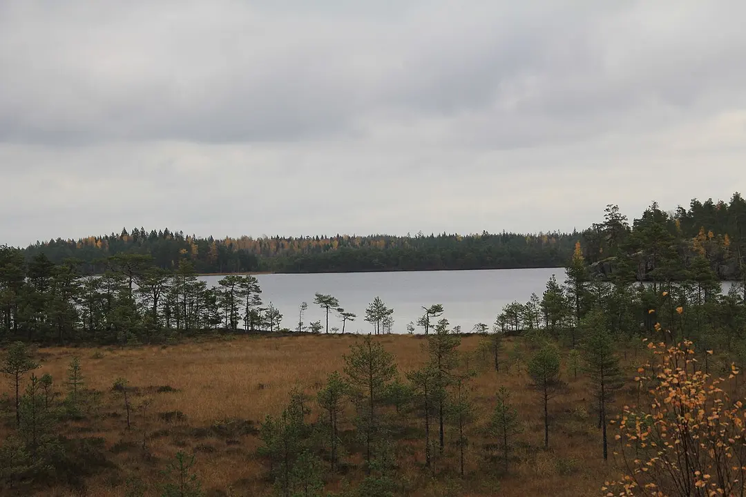 Vaskijärven luonnonpuisto