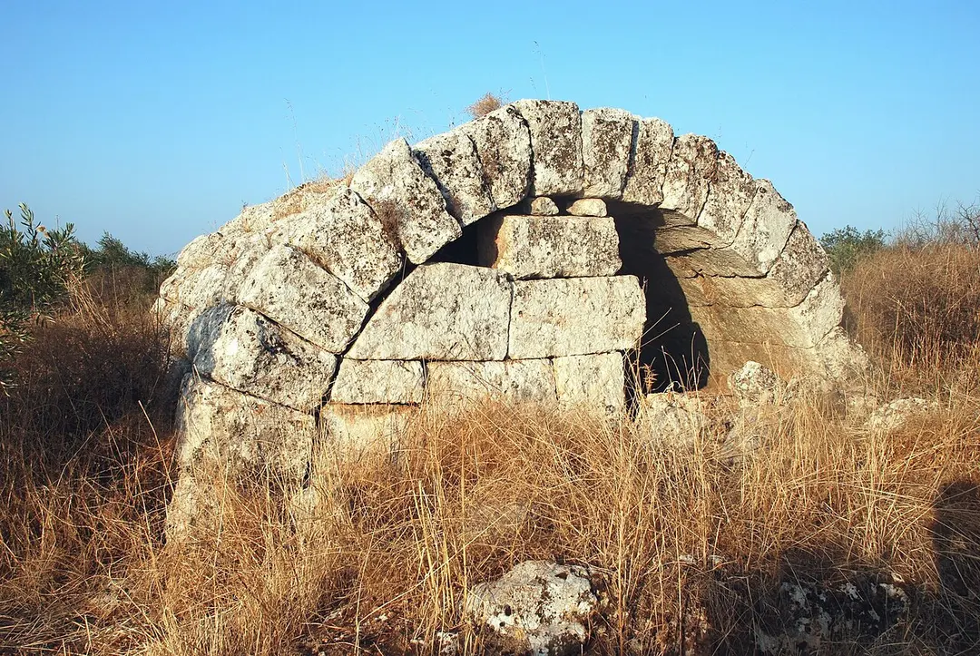 Barischa