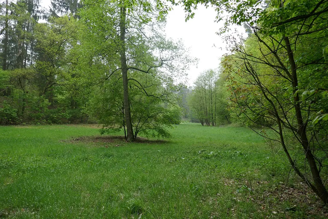 Sprungbach Oberlauf