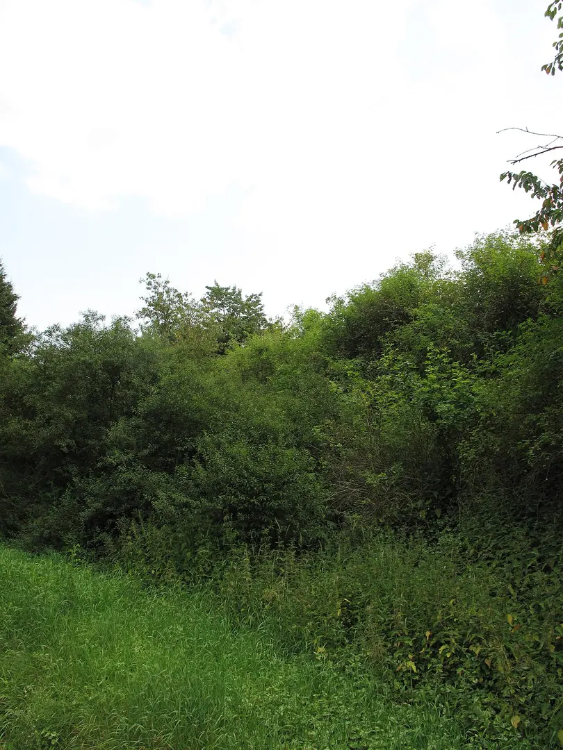 Kašparův vrch