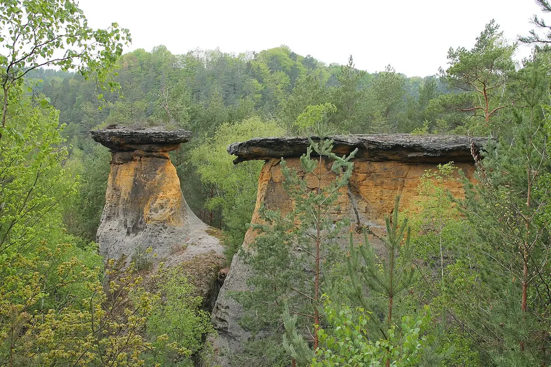 Pokličky