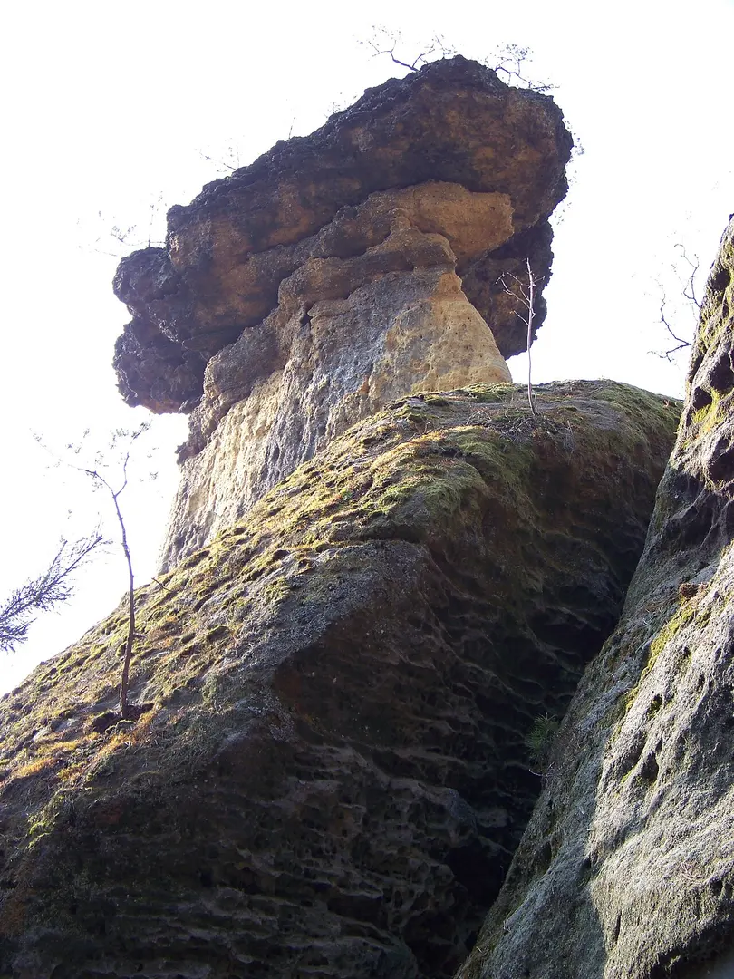 Pokličky