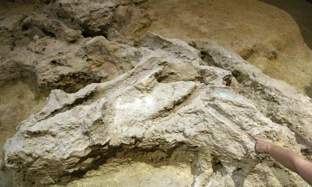 Abric Romaní
