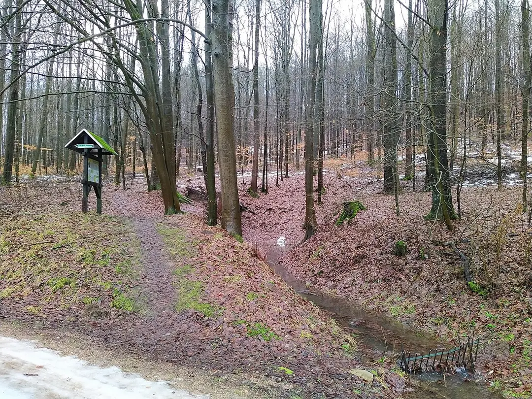 Grumbach
