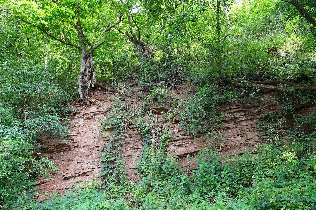 Harthberg