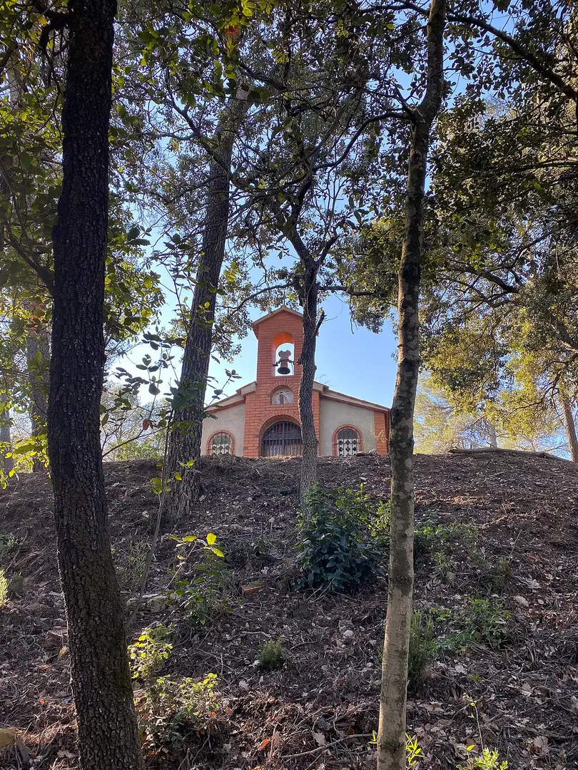 Sant Francesc d'Assís