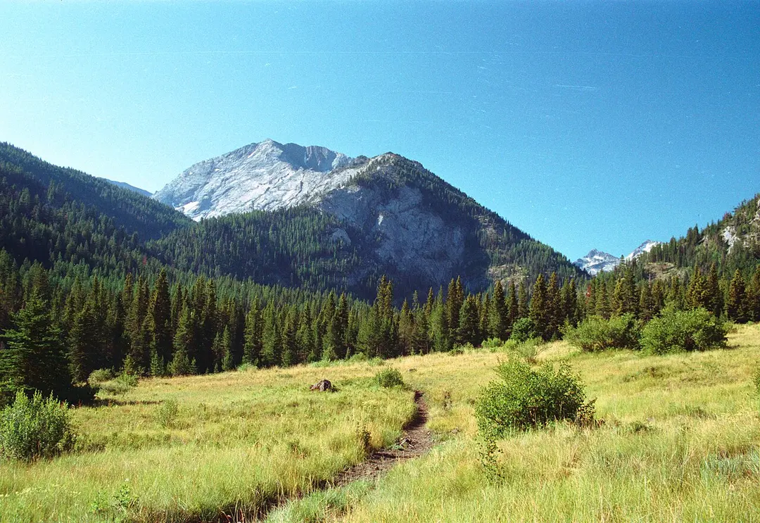 Sacajawea Peak