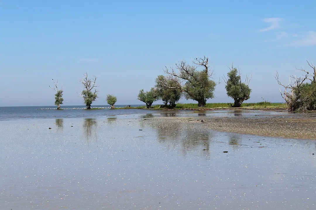 Don Nature Park