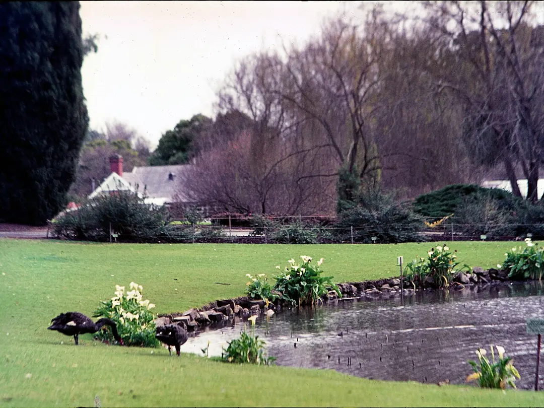 Adelaide Botanic Gardens
