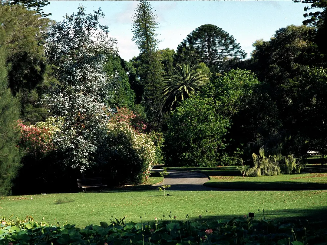 Adelaide Botanic Gardens