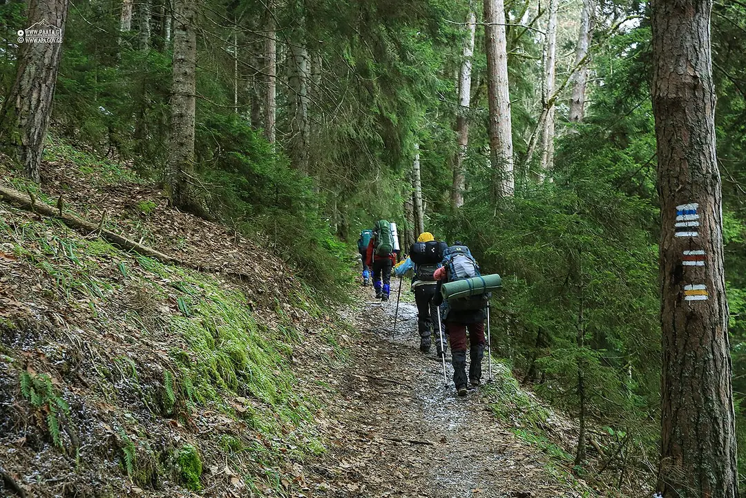 Bordschomi-Charagauli Nationalpark