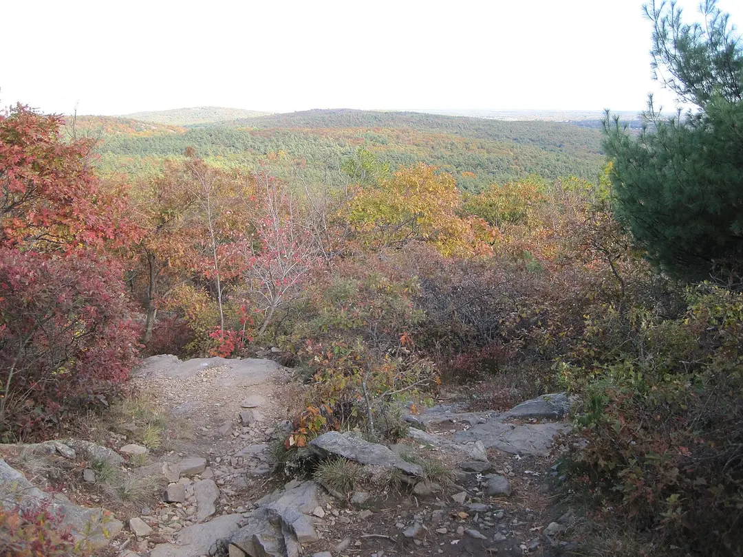 Blue Hills Reservation