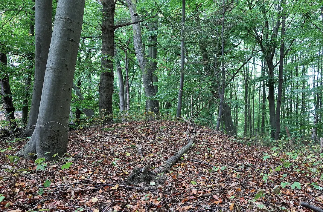 Mastberg und Weissenstein