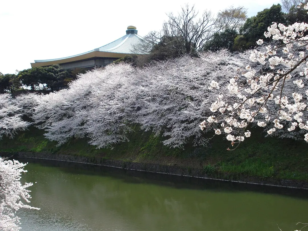 Nippon Budōkan