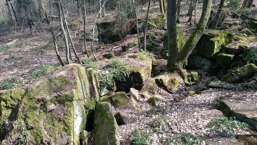 Hoher Stein