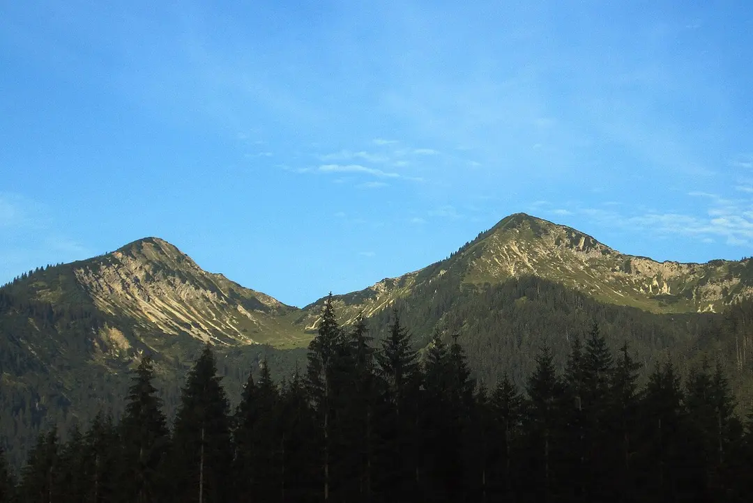 Alpeleskopf