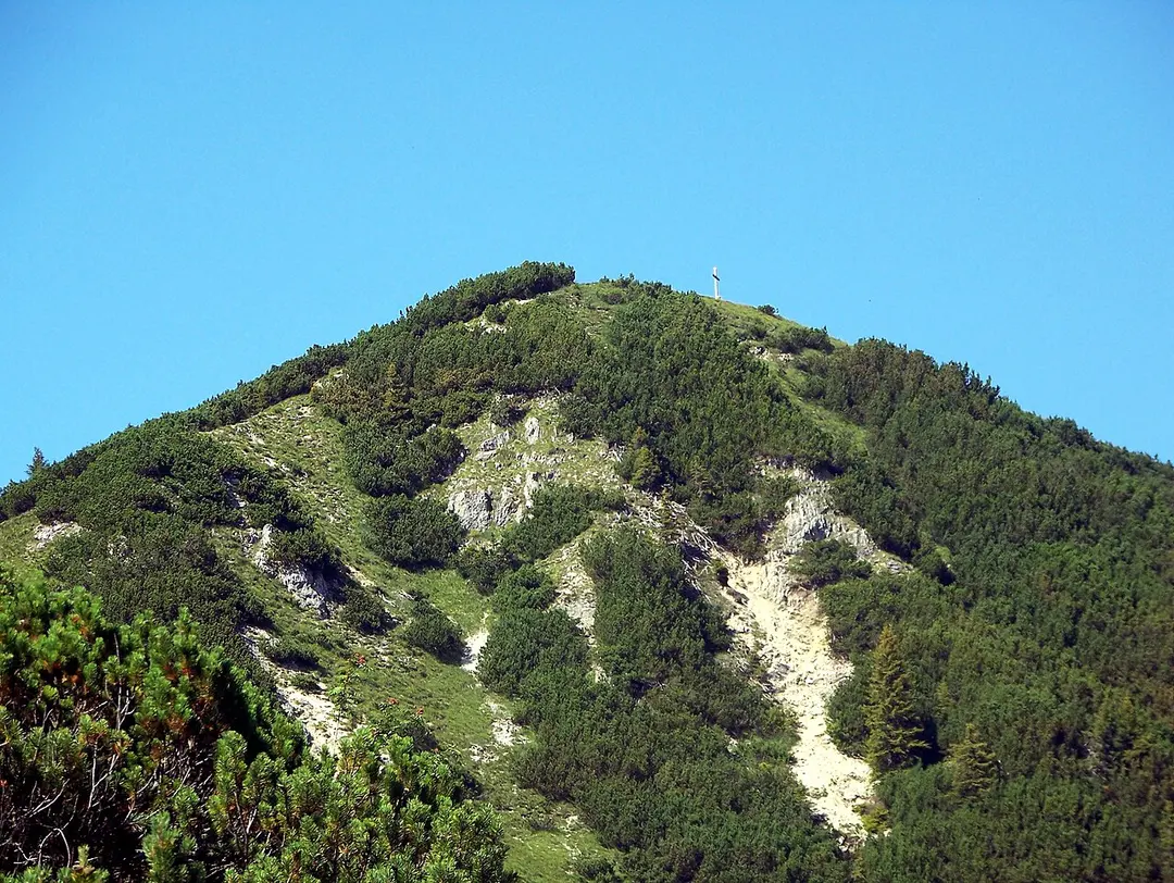 Alpeleskopf