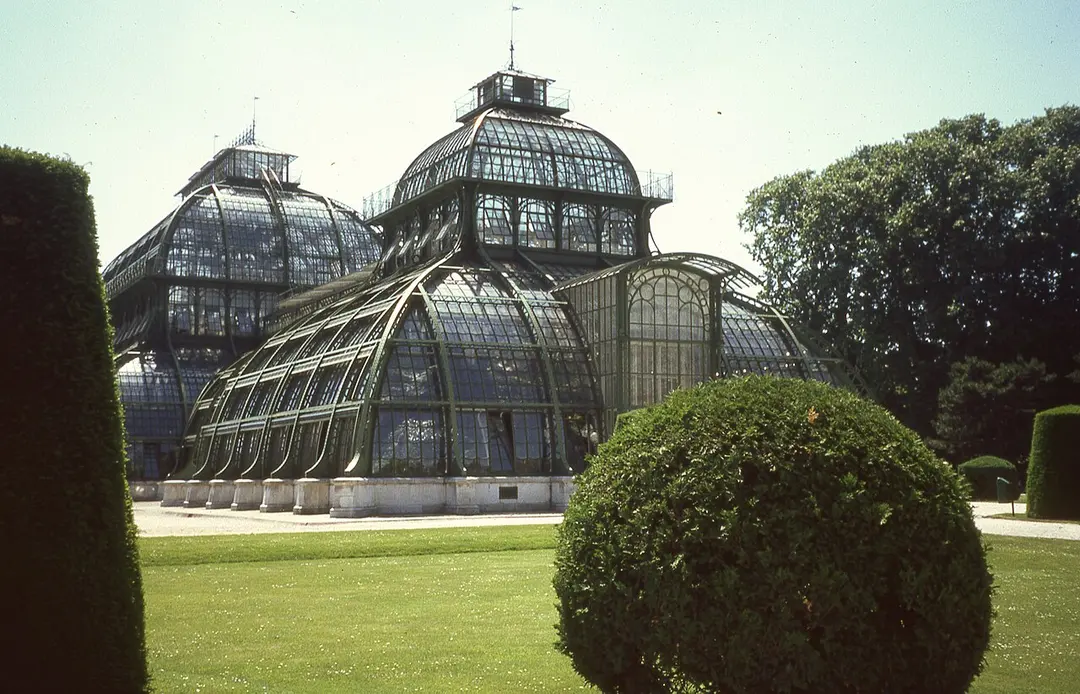 Palmenhaus