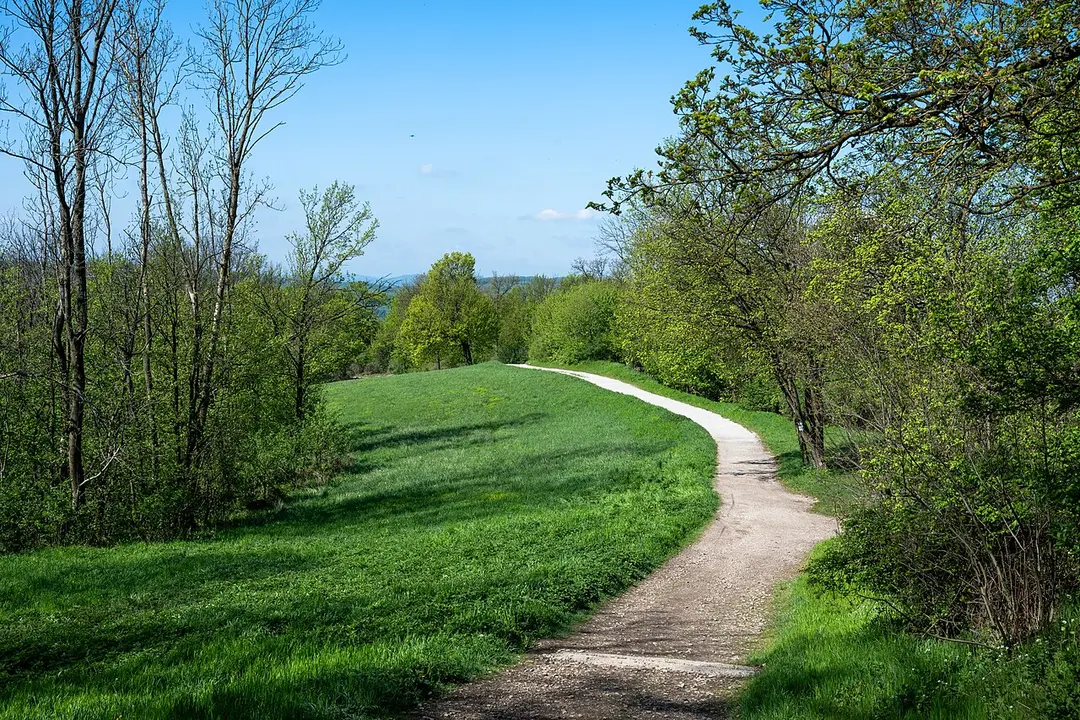 Hermannskogel