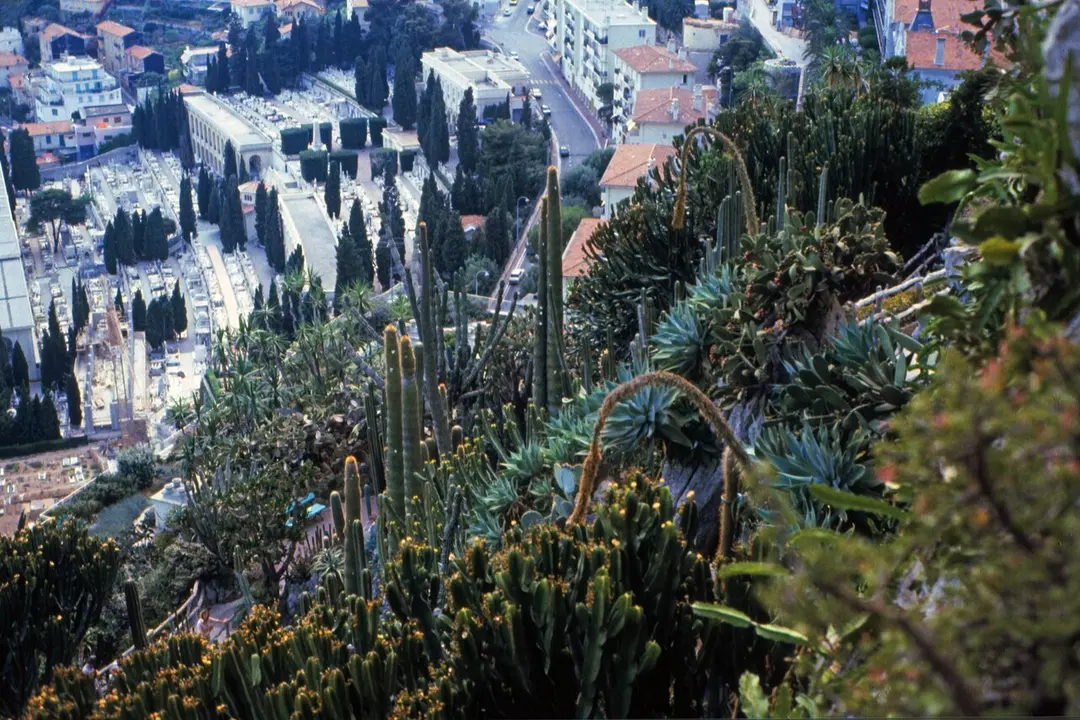 Monaco Cemetery