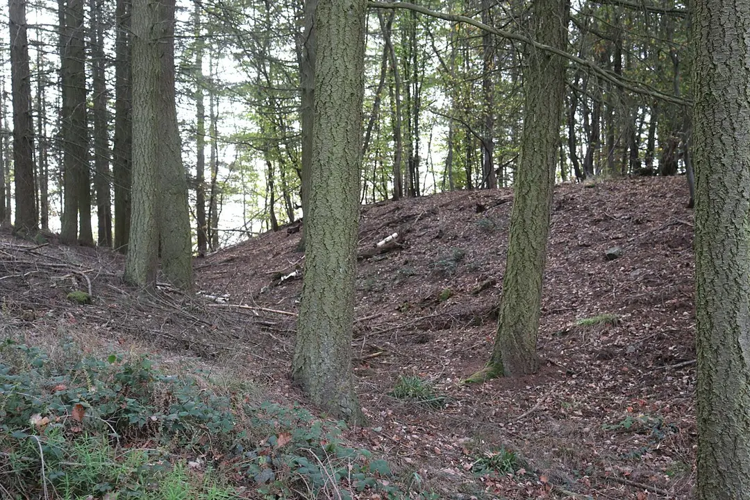 Abschnittswall