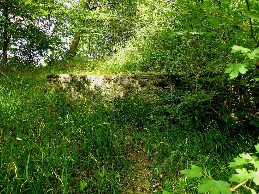Ruine Itterburg