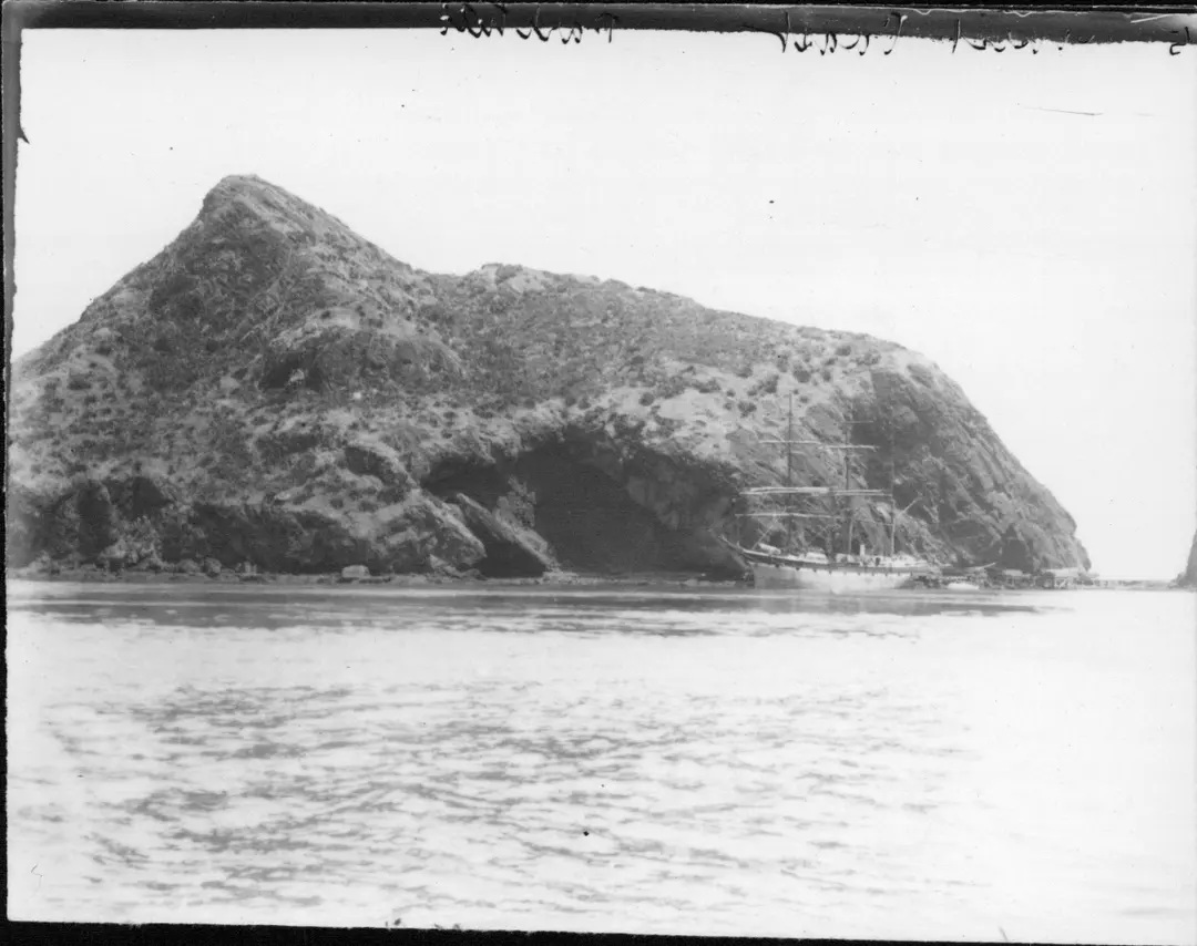 Manukau Heads