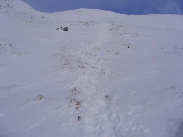 Ben Vrackie