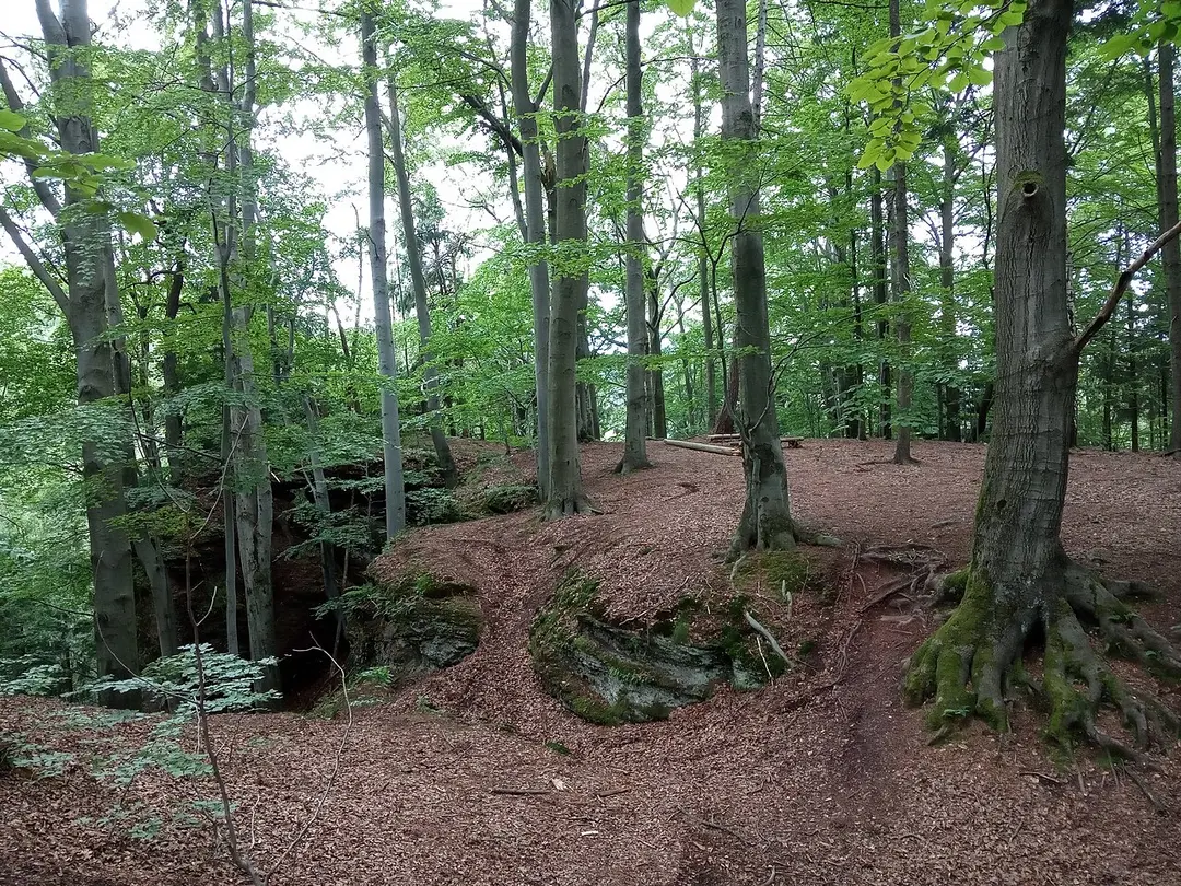 Ruiny hradu Rechenburg
