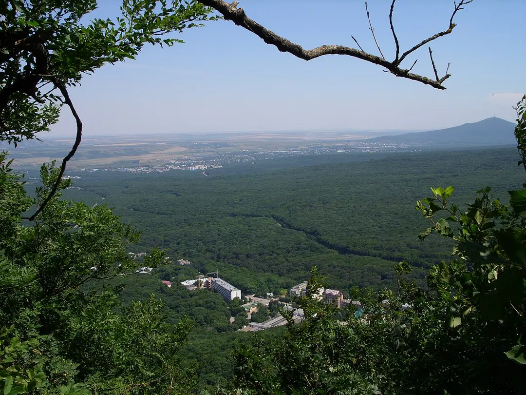 Лысая