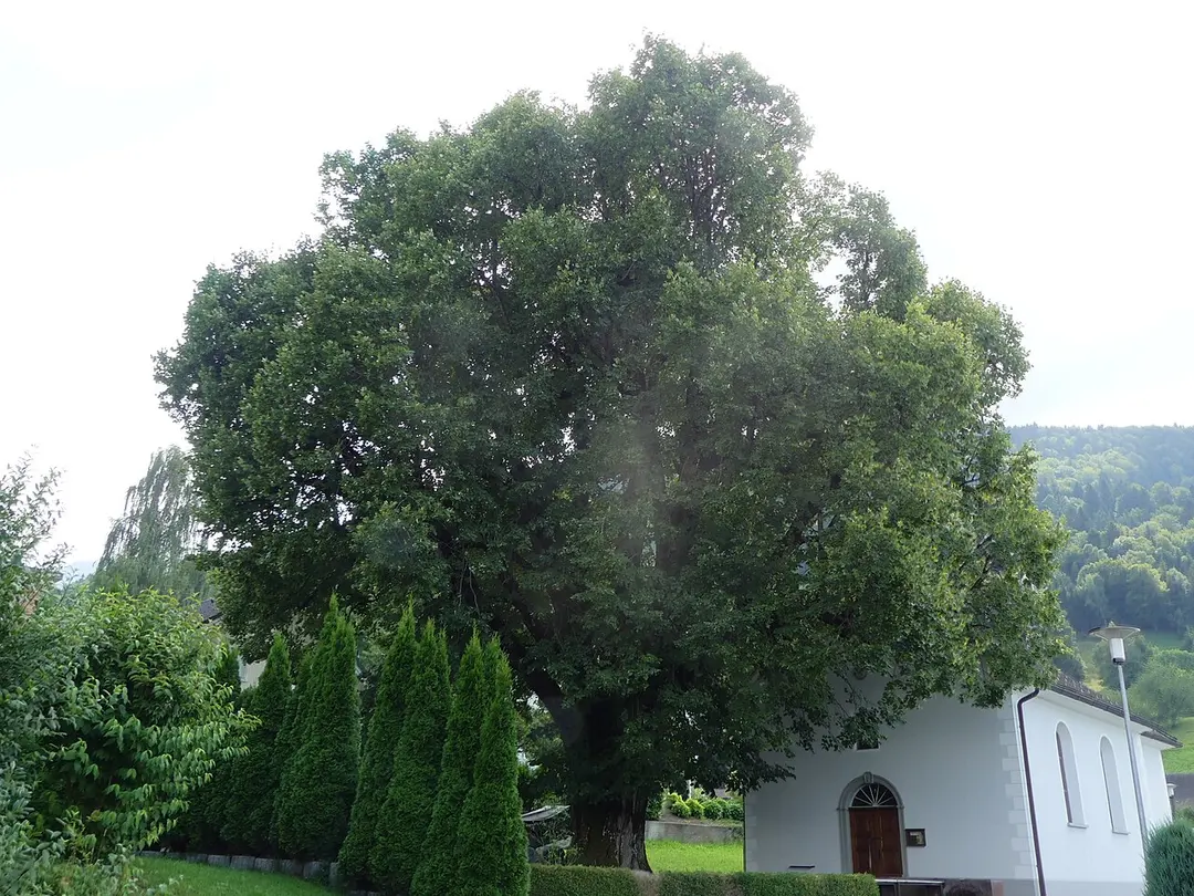 Kapelle Halden