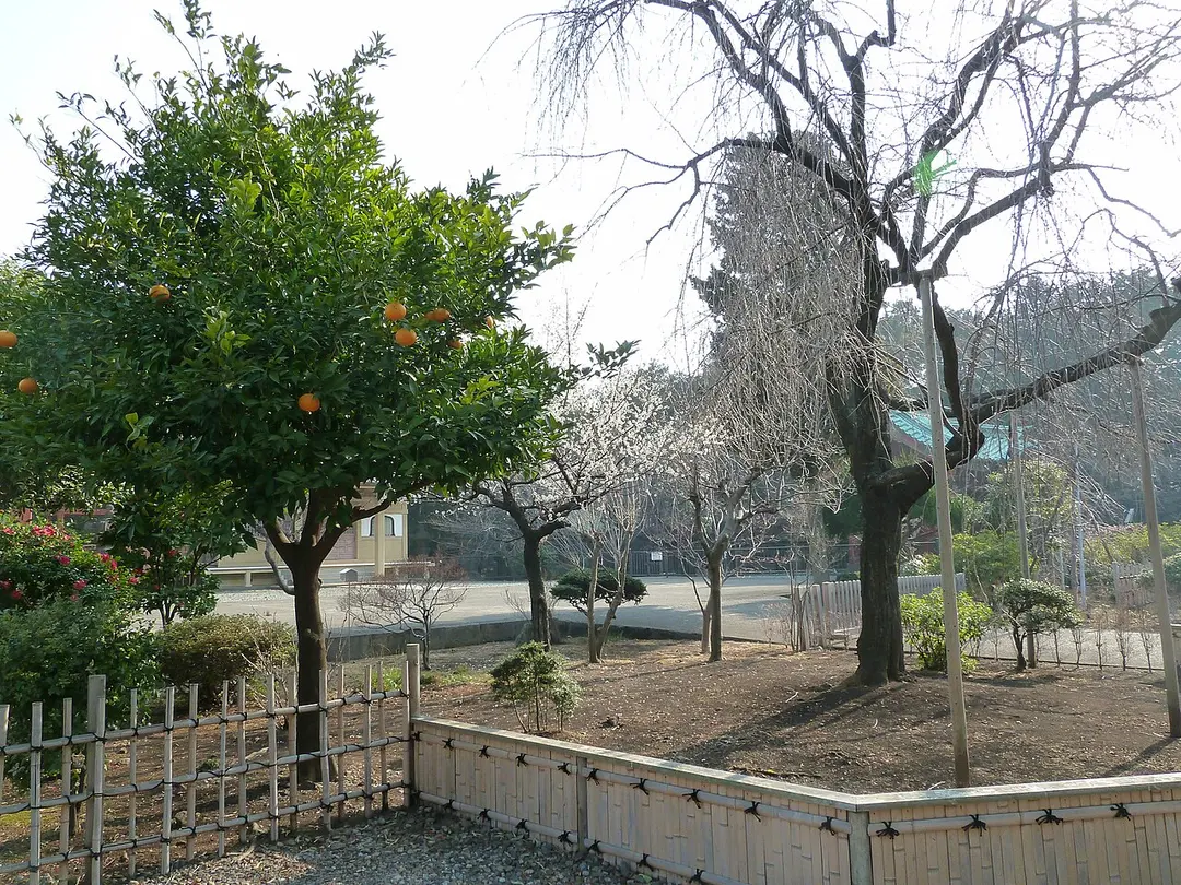 寛永寺