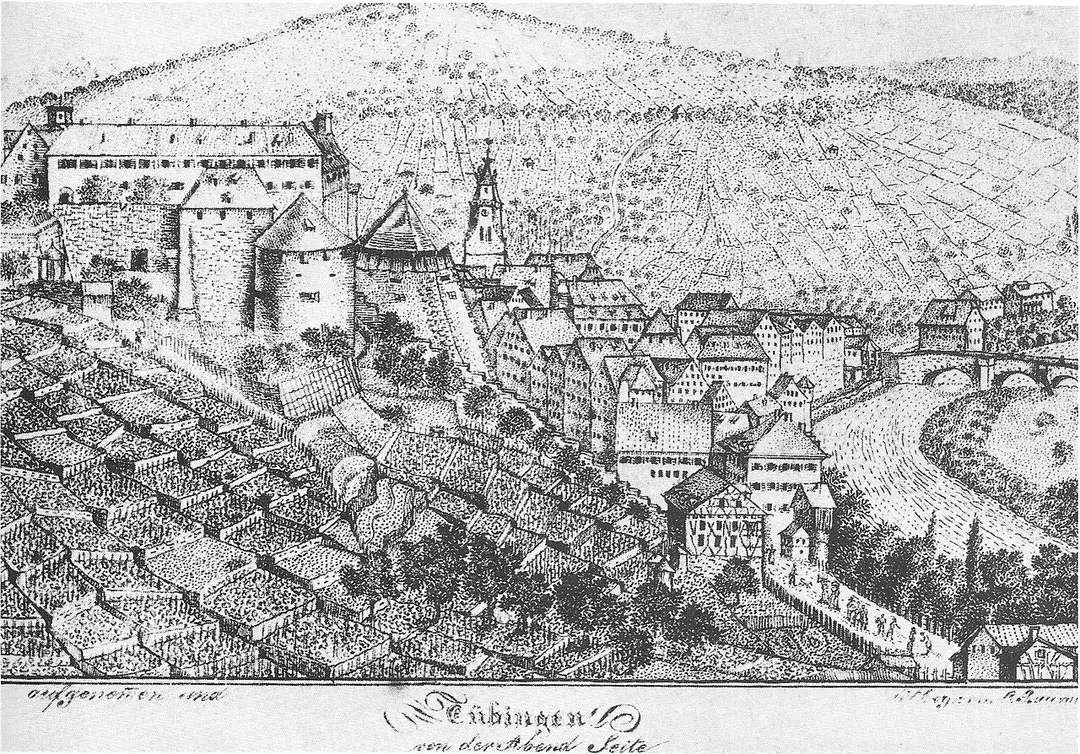 Neckarhalde (Tübingen)