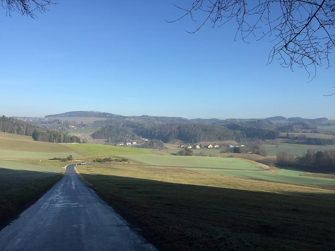 Burg Hohenfels (Hohenfels)