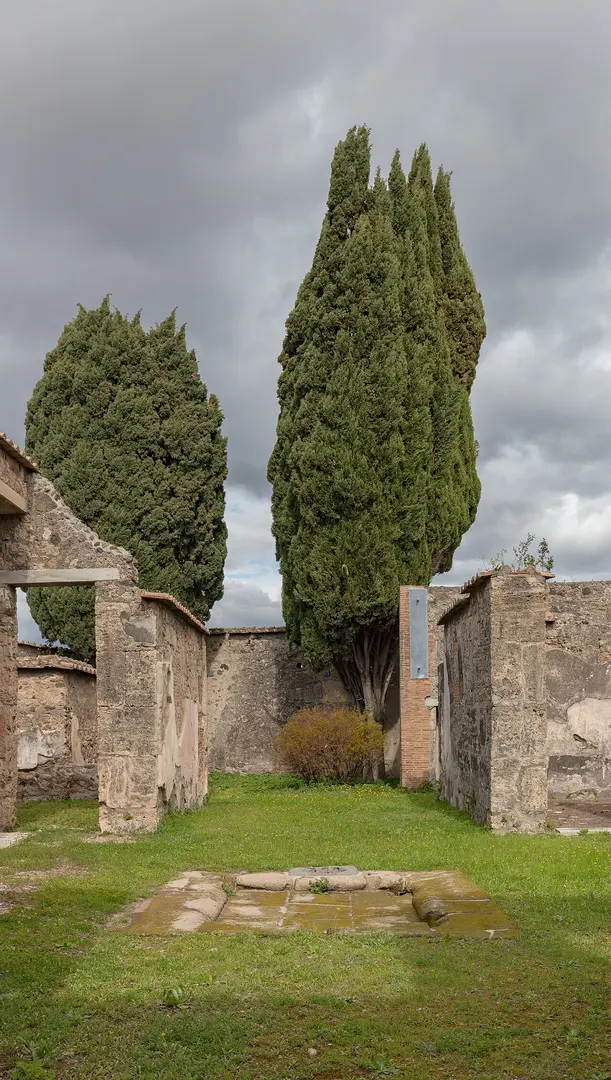 Casa del Chirurgo