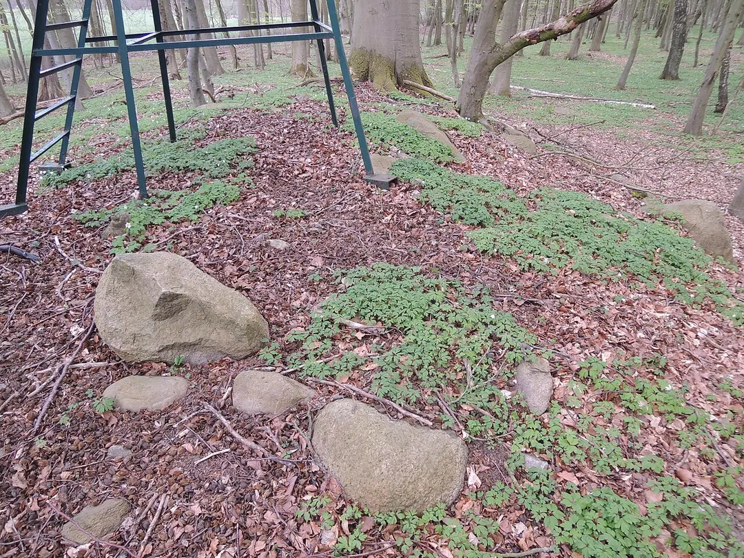 Großsteingrab Rothenmoor 3