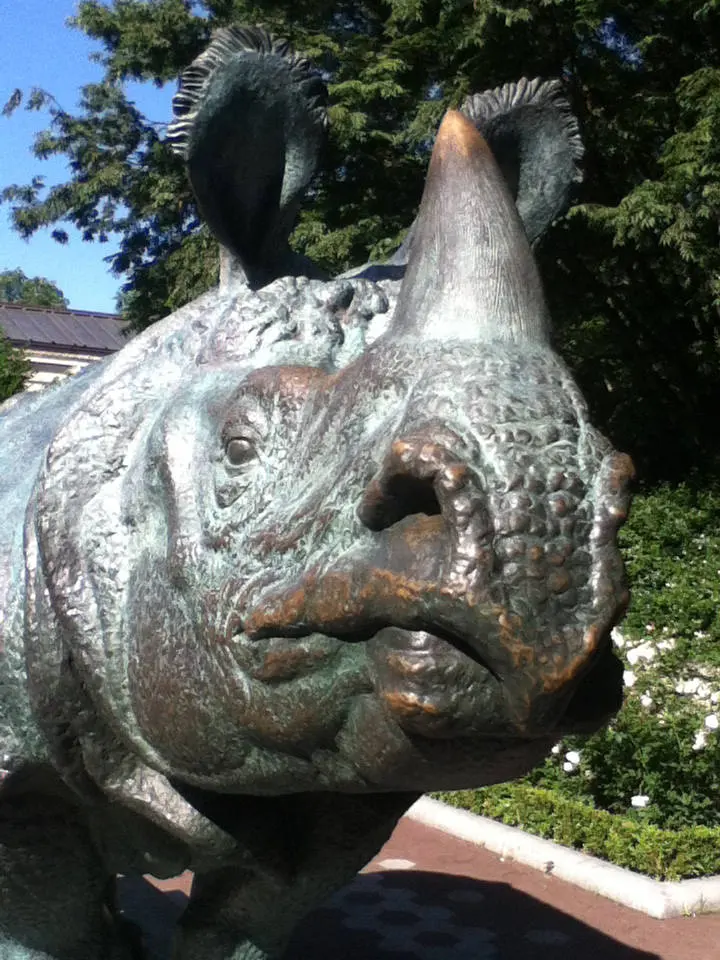 Bronx Zoo