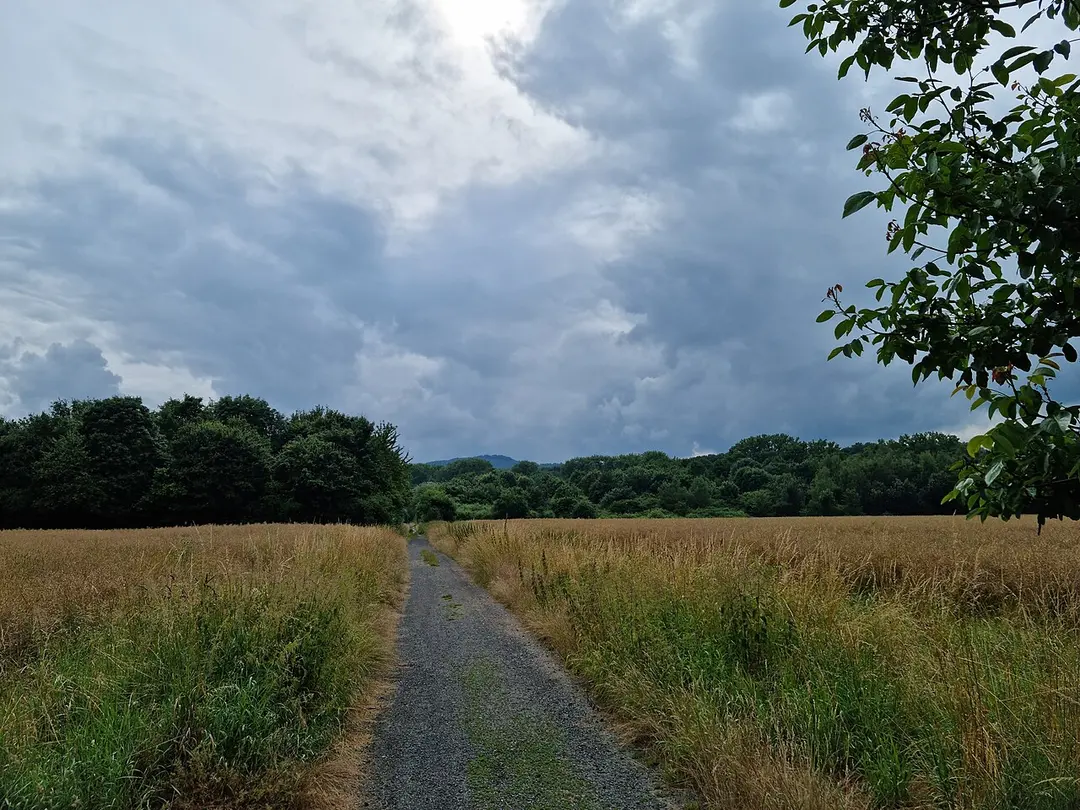 Borkener See