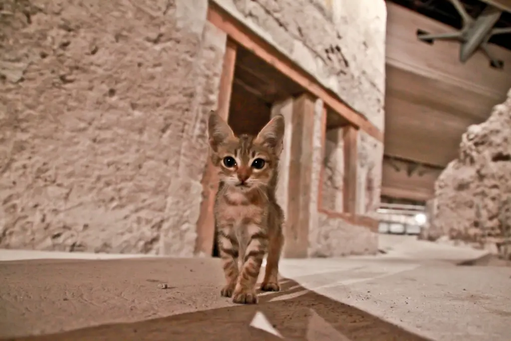Akrotiri