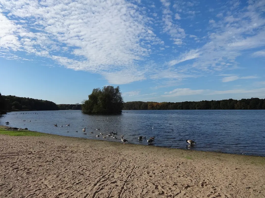 Öjendorfer See