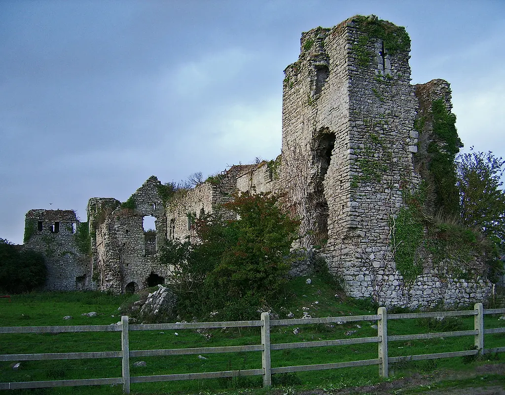 Clonmore Castle (Ruin)