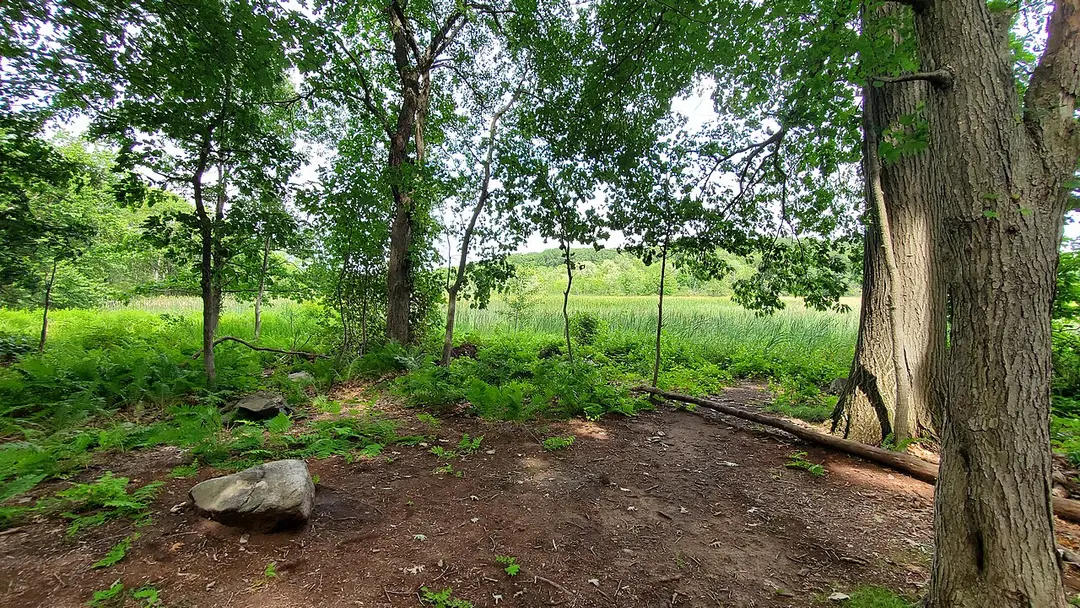 Beaver Brook Reservation